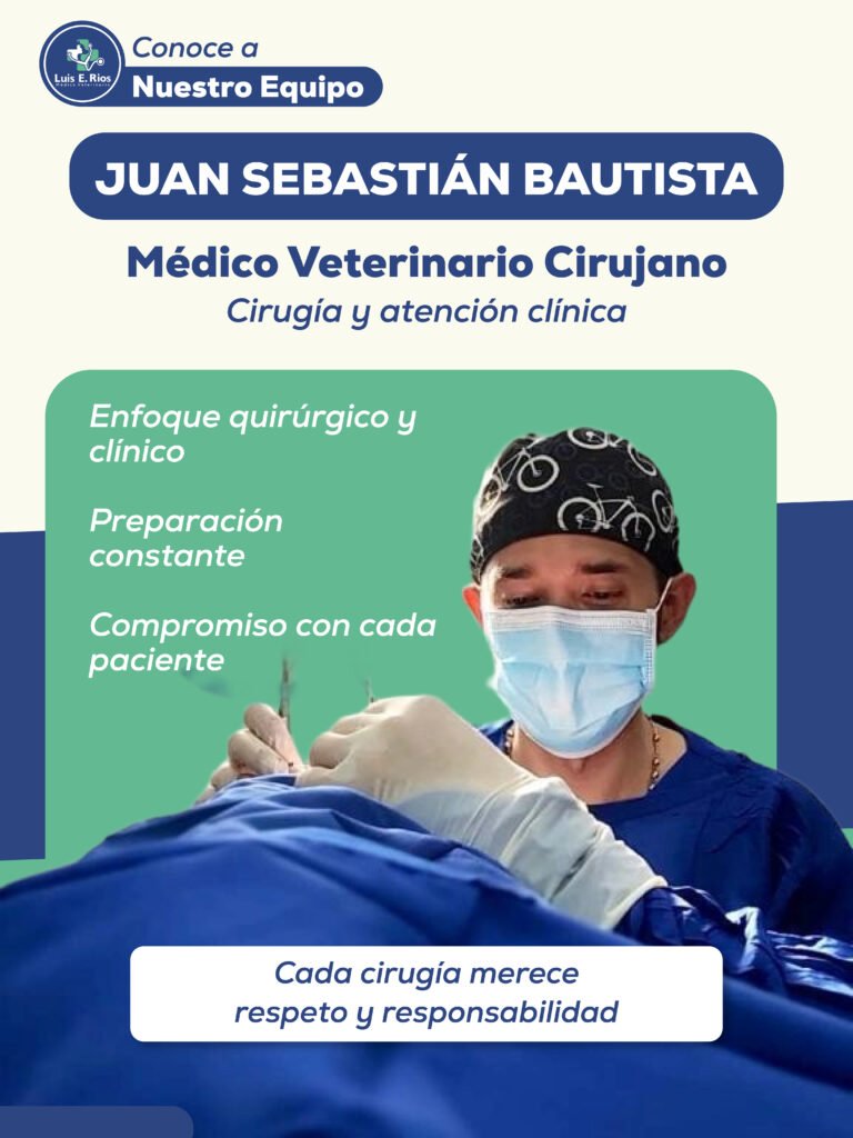 Equipo_Veterinario_03