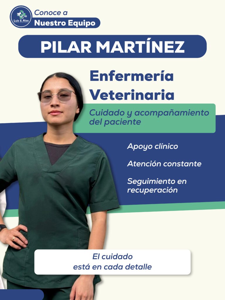 Equipo_Veterinario_05